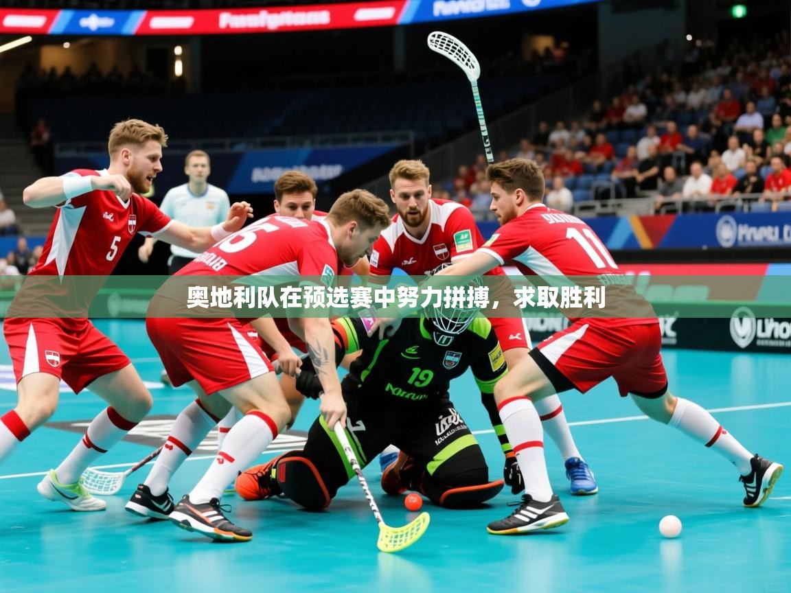 2026爱游戏体育平台奥地利队在预选赛中努力拼搏，求取胜利  第2张